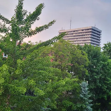 Exklusives & Ruhiges Zimmer An Der Uni Mainz *