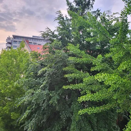 Exklusives & Ruhiges An Der Uni מיינץ