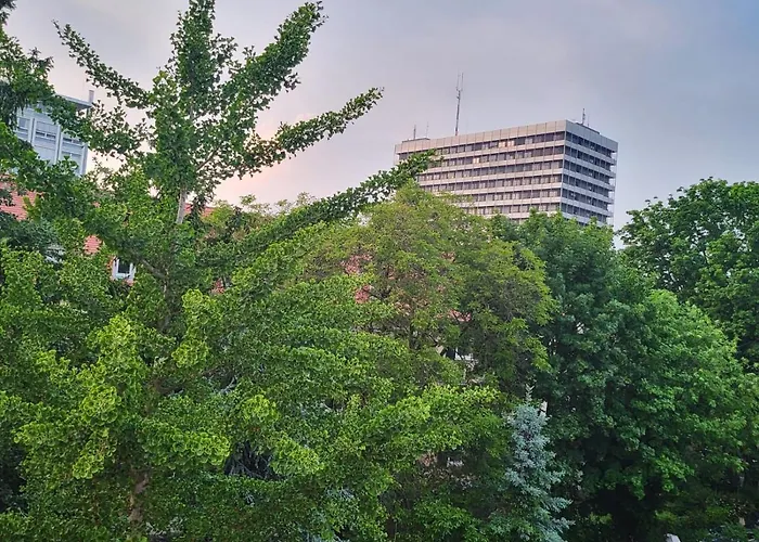 Exklusives & Ruhiges Zimmer An Der Uni Mainz *