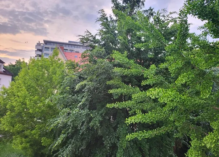 Exklusives & Ruhiges Zimmer An Der Uni Mainz Mainz