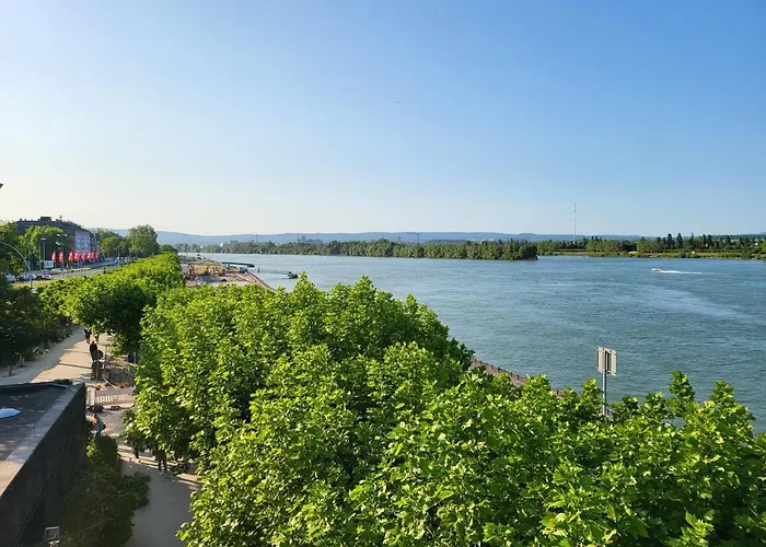 Exklusives & Ruhiges Zimmer An Der Uni Mainz Homestay Mainz